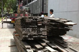 Thumbnail of Lumber