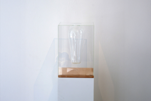 Thumbnail of Vitrine of a Vase