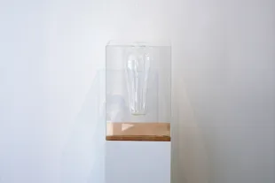 Thumbnail of Vitrine of a Vase