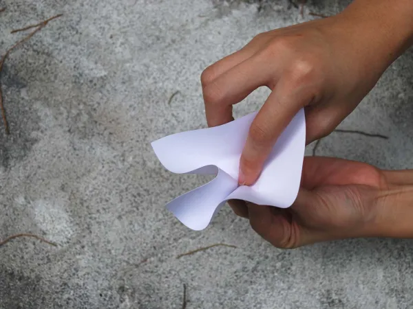 From memo pad paper to flower in 3 seconds