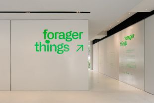 Thumbnail of Forager Things