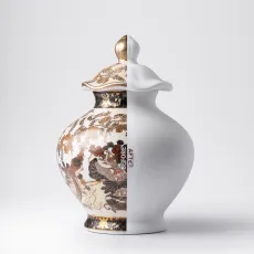 Thumbnail of Before After Series