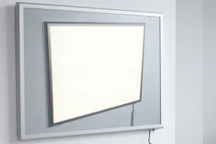 Thumbnail of Portrait of a Lamp