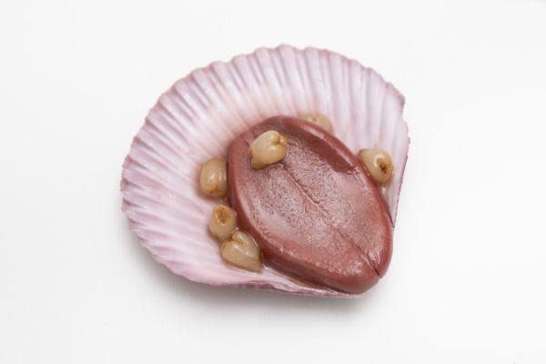 Zi Ning's broken seashell from her childhood friend repaired by QimmyShimmy