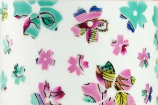 Thumbnail of Sakura Nyonya