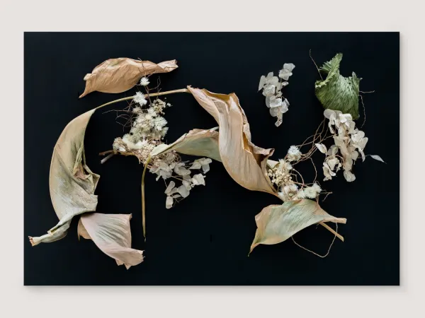 Wallflower (Rectangle)