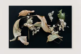 Thumbnail of Wallflower (Round & Rectangle)