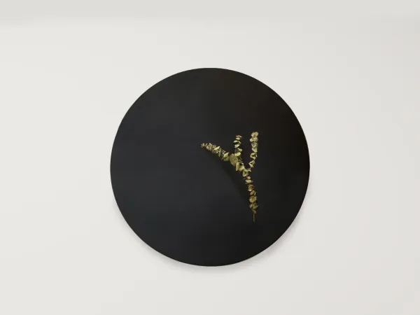 Wallflower (Round)